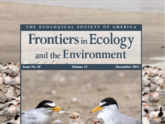 Cover photo for The Ecological Society of America's Frontiers in Ecology and the Environment Issue No. 10, Vol. 15, December 2017. Features birds sharing a small fish together on a beach.