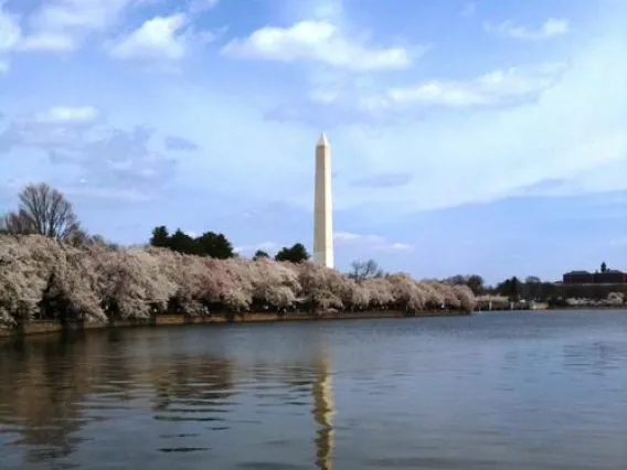 Photo of the Washington Monument in Washington, D.C. from near the Potomac River. 