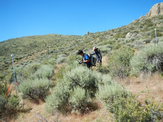 Researcher working in a desert landscape.