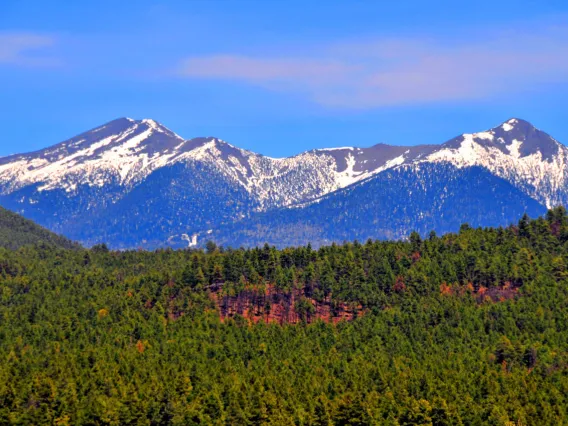 View of the mountains and forest landscape near Flagstaff.