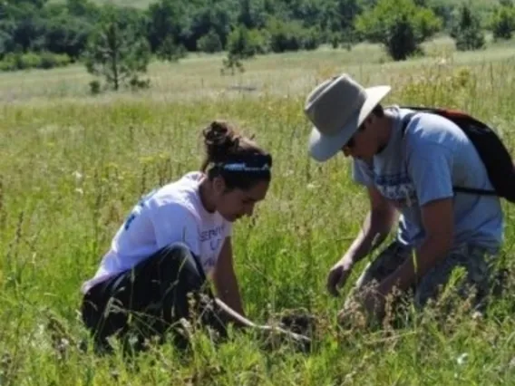 Two researchers working in a field.