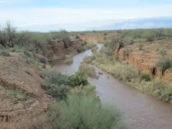 Santa Cruz river in the midday.