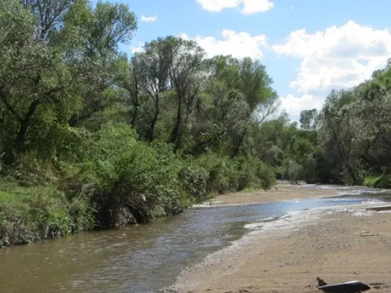 The Santa Cruz river during midday.