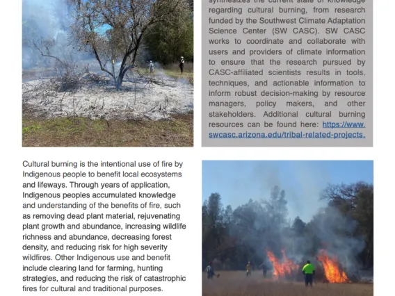 Screenshot of first page of Cultural Burning and the Relationship with Fire brief.