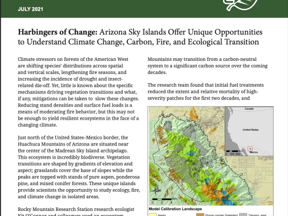 Cover page for Arizona Sky Islands factsheet.