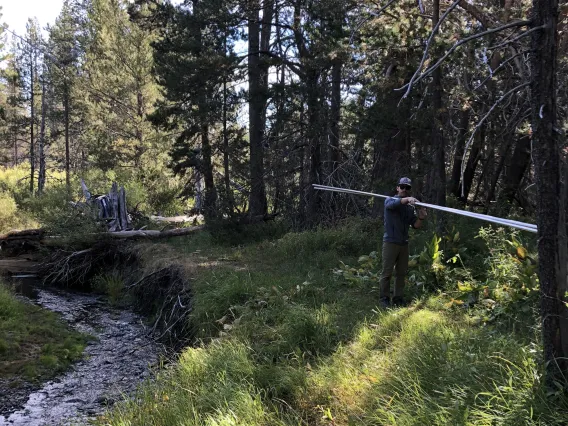 Josh Sturtevant holding pipes on his shoulder walking alongside a creek