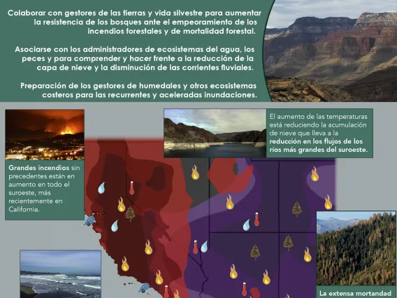 Captura de pantella de SW CSC Impacts