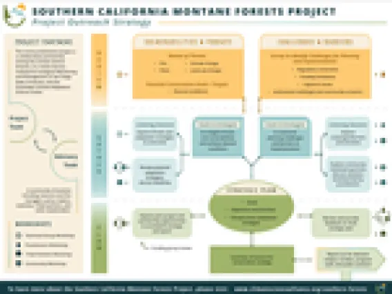 Southern Forests infographic