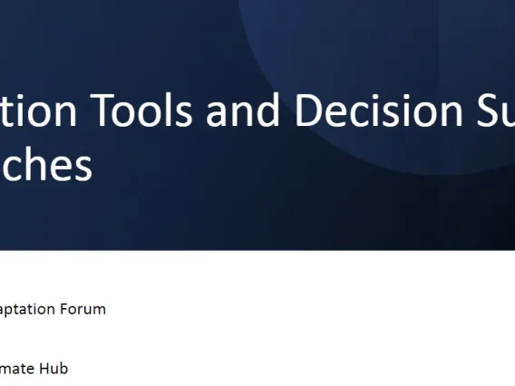 Adaptation tools and Decision Support