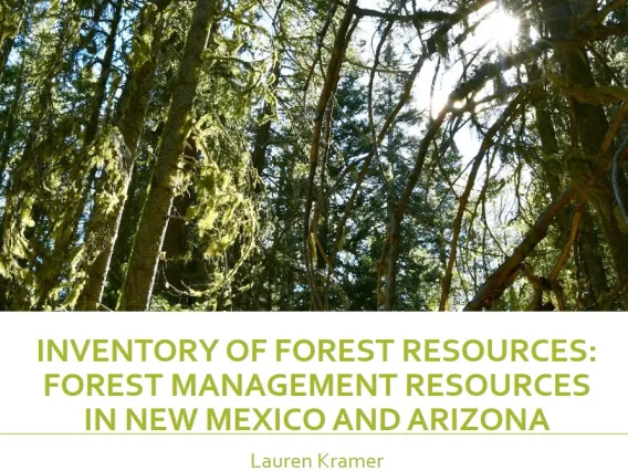 Inventory of Forest Resources Presentation