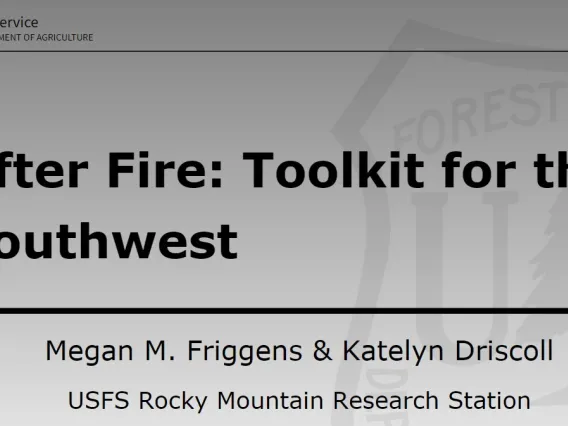 After Fire Toolkit