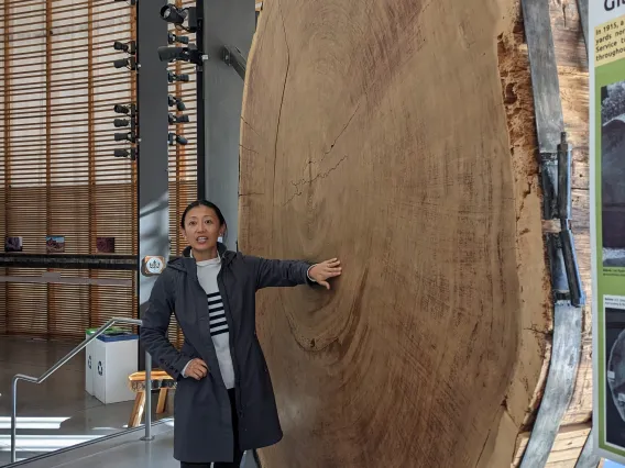 Jia Hu - Tree Ring