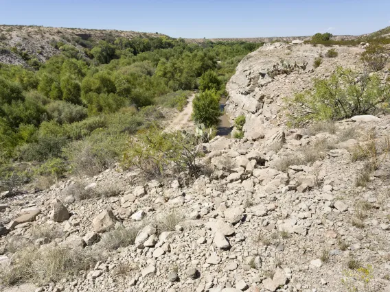 Upper Gila River Watershed