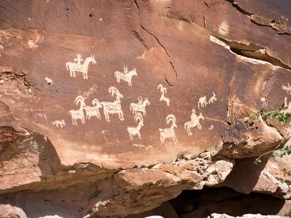 ute petroglyphs in Arches National Park, Utah. The rock surface is cracked and weathered