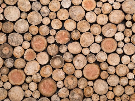 Many log ends pictured stacked, filling the entire frame