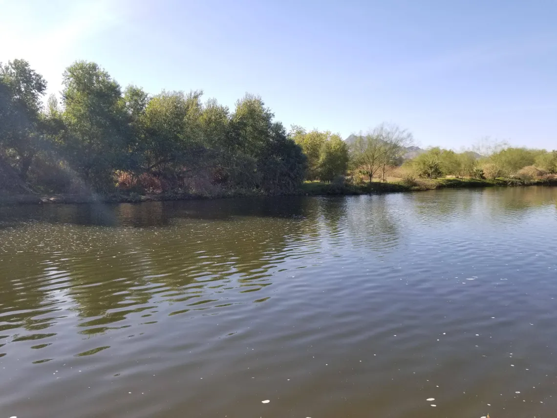 Photo of the lower Gila River Basin