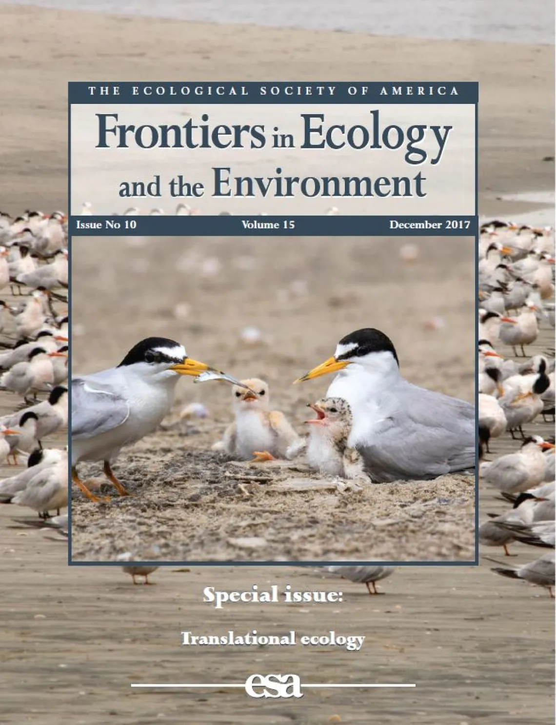 Cover photo for The Ecological Society of America's Frontiers in Ecology and the Environment Issue No. 10, Vol. 15, December 2017. Features birds sharing a small fish together on a beach.