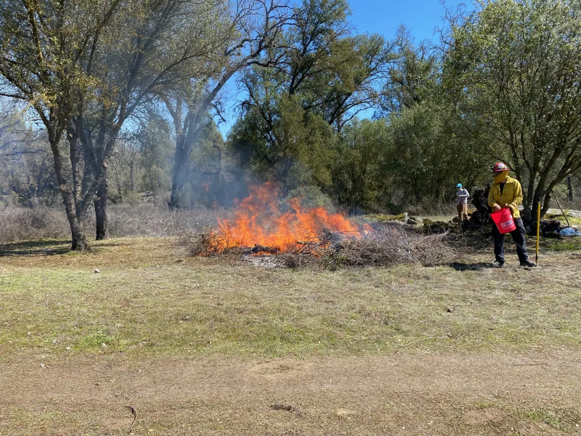 Cultural Burning