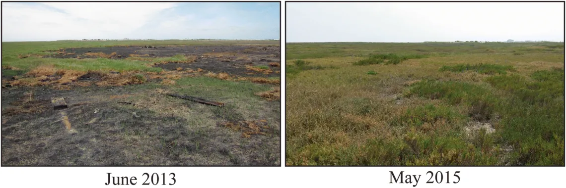 Side by side comparison photos of a California salt marsh in June of 2013 and May of 2015.