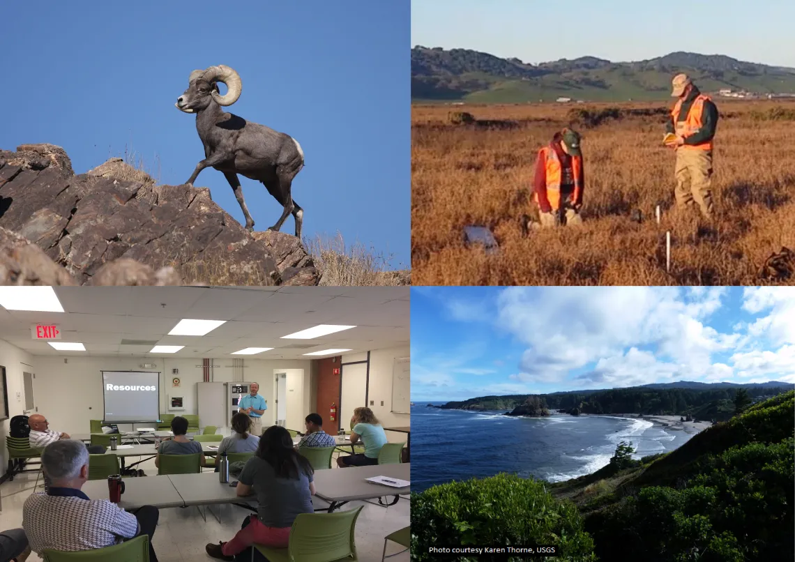 Collage of 4 photos in clockwise order from the top left: a ram climbing a mountain, two researchers gathering field data, a coastal view surrounded by a forest, a person giving a presentation to other people in a conference room.