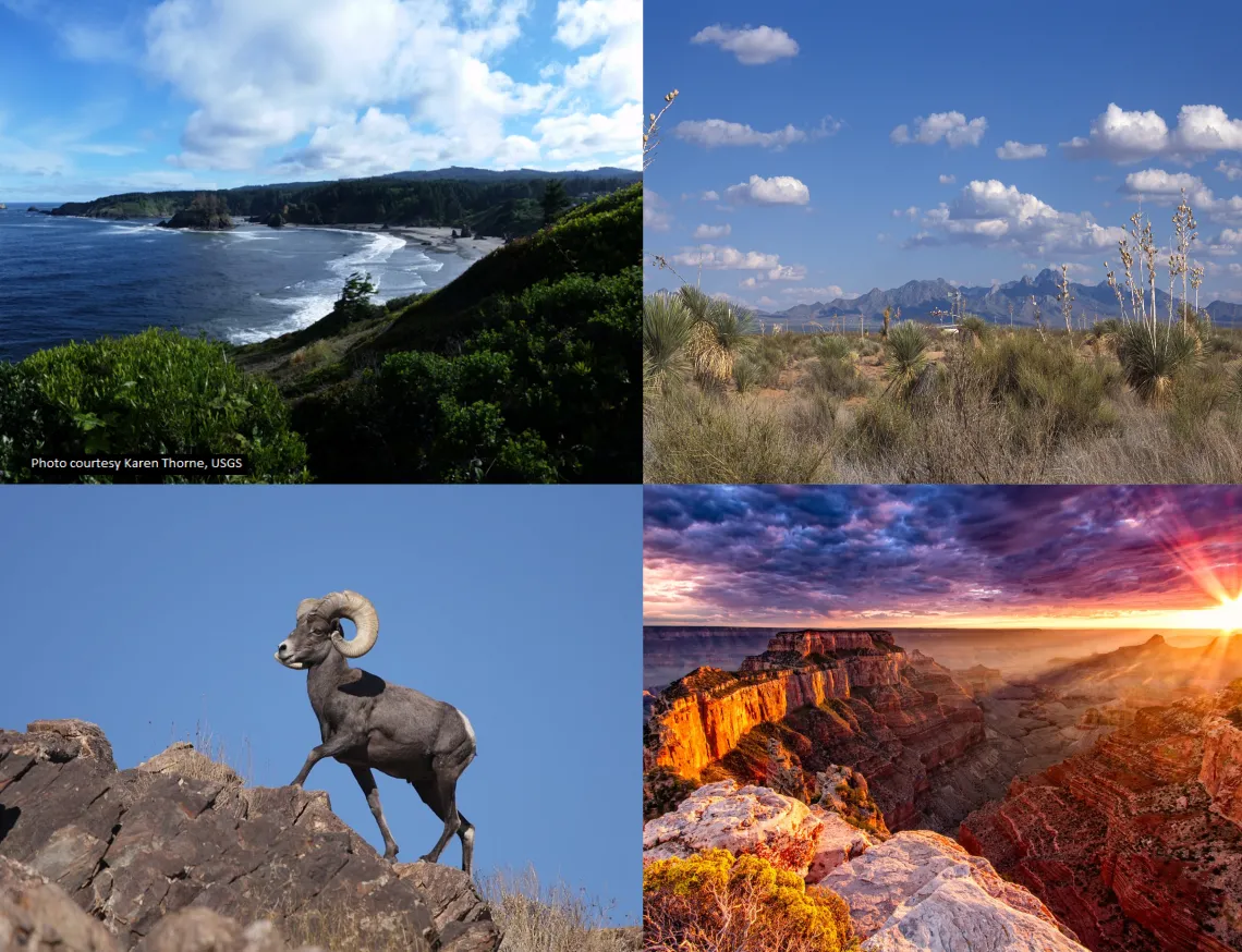 Collage of 4 photos in clockwise order from the top left: a view of the coast with foliage surrounding the beach, a sonoran desert landscape, the Grand Canyon at sunset, a ram walking up a mountain.