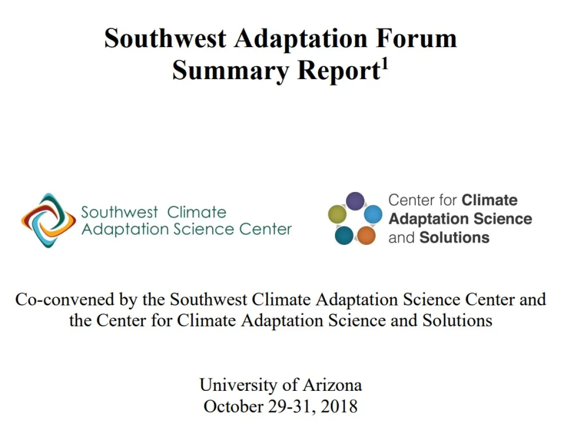 2018 SWAF Summary Report Front Cover