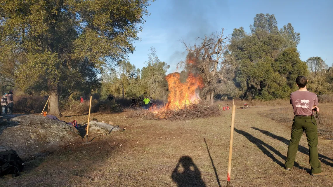 Traditional Burning