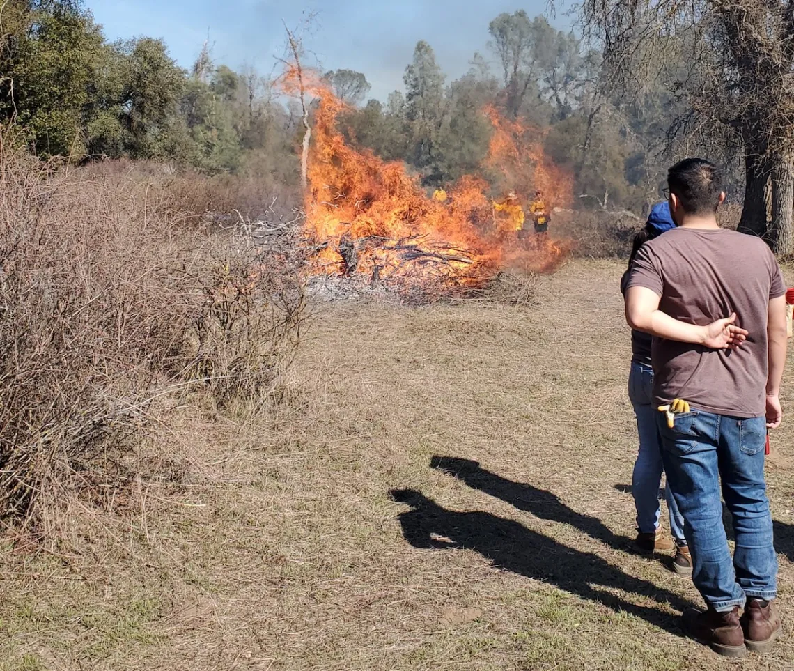 Two people stand in a grassy area watching Traditional Burning in action