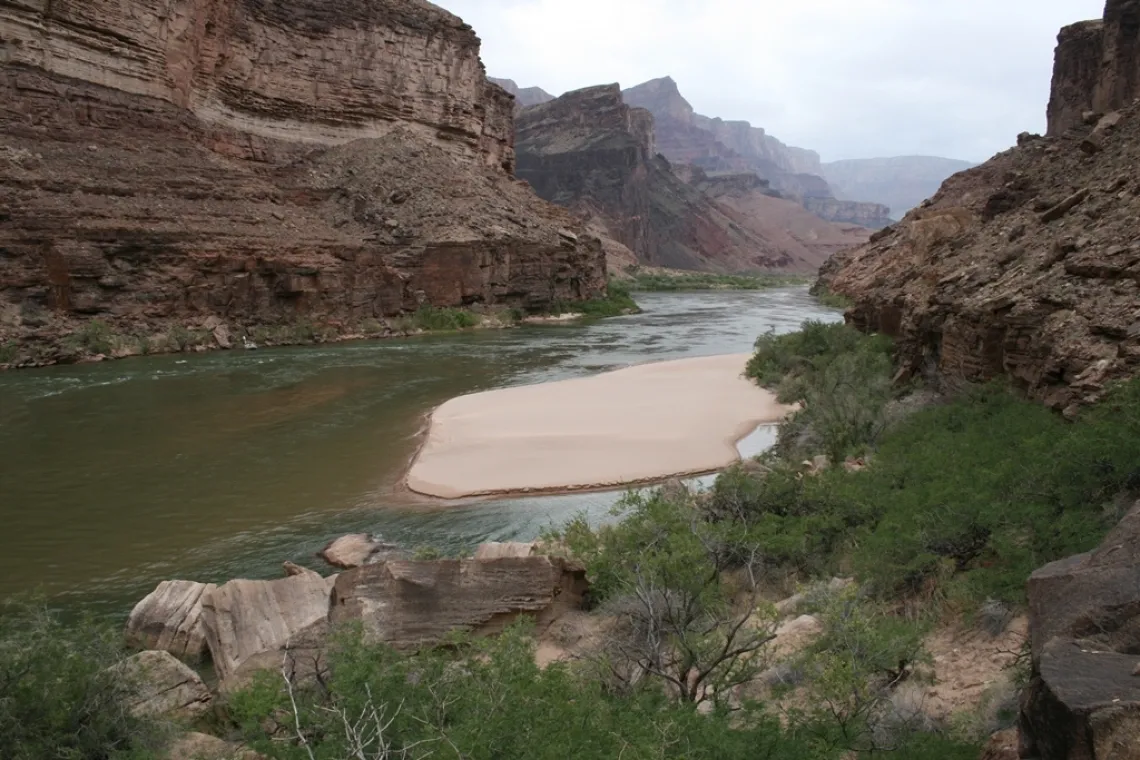 Grand Canyon River Sandbar