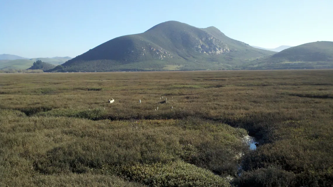 Photo of Morro Bay