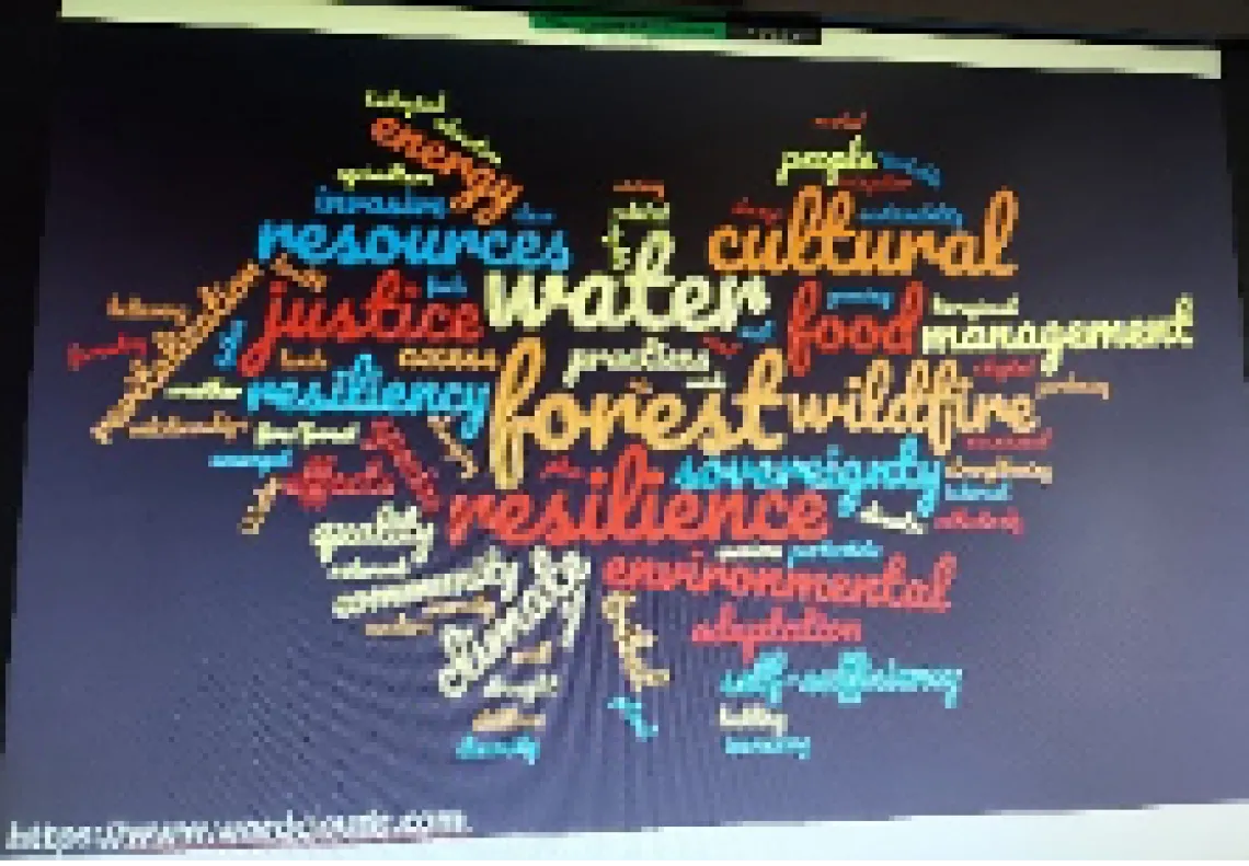 Tribes create word cloud to depict their climate concerns