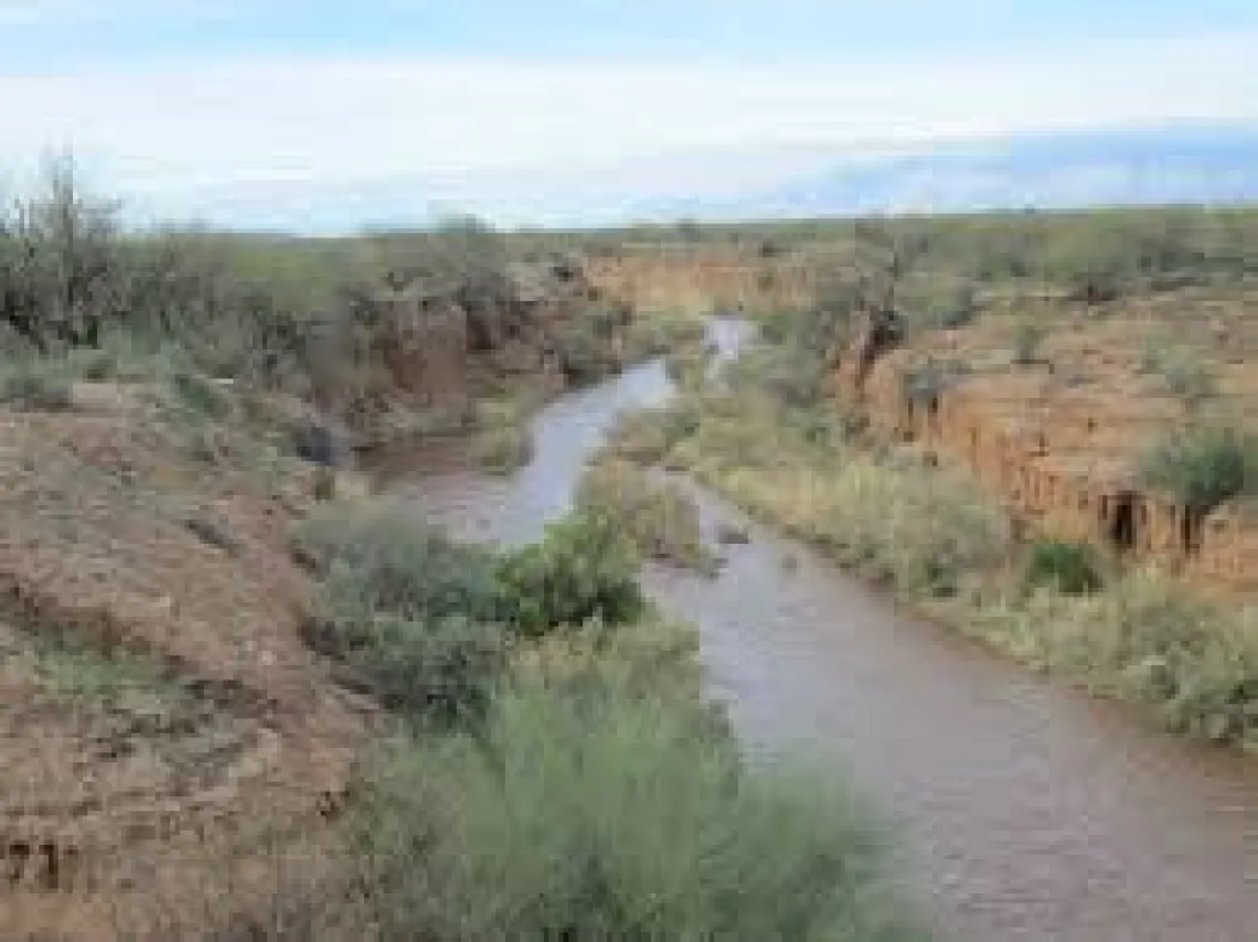 Santa Cruz river in the midday.