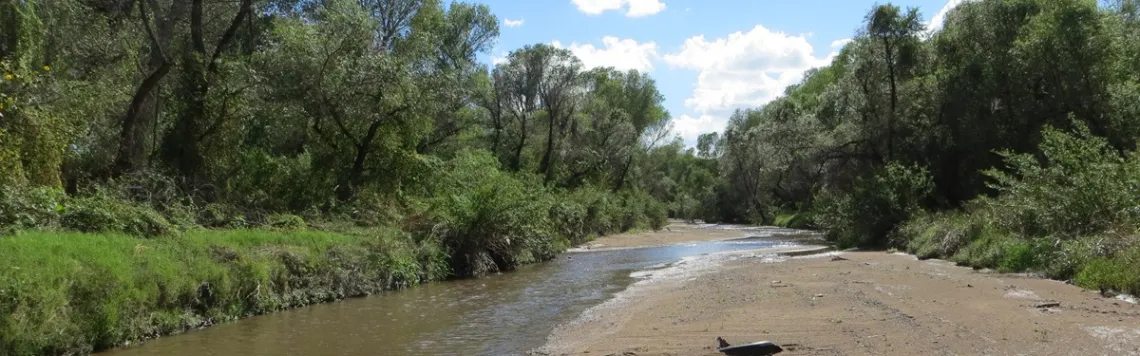 The Santa Cruz river during midday.