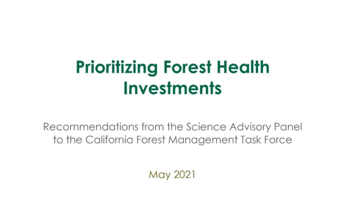 Screenshot of cover page for Prioritizing Forest Health Investments report.