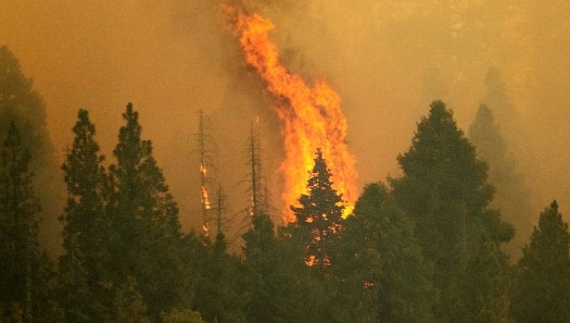 A photo of a forest fire with flames getting taller than the tree line.