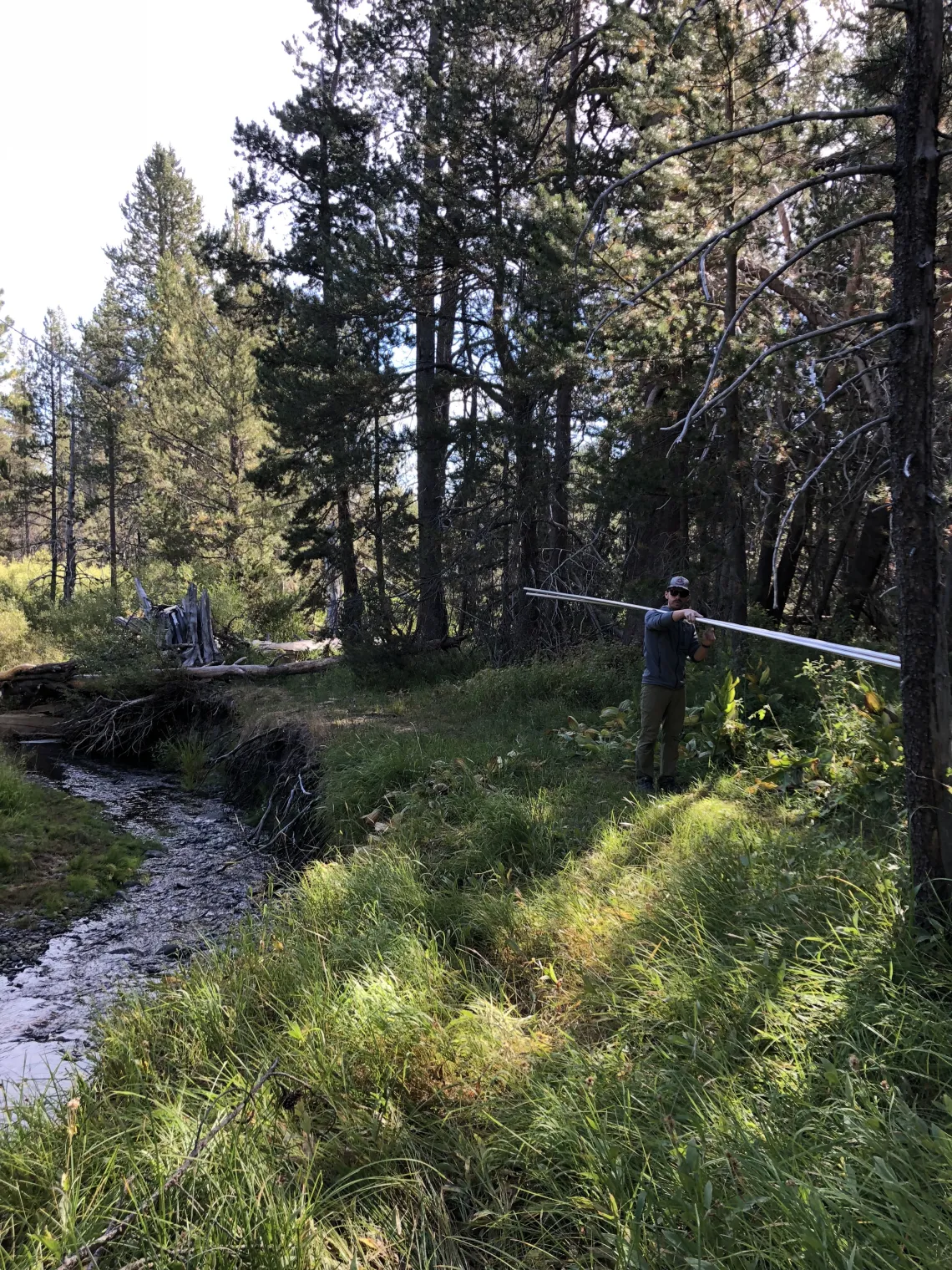 Josh Sturtevant holding pipes on his shoulder walking alongside a creek