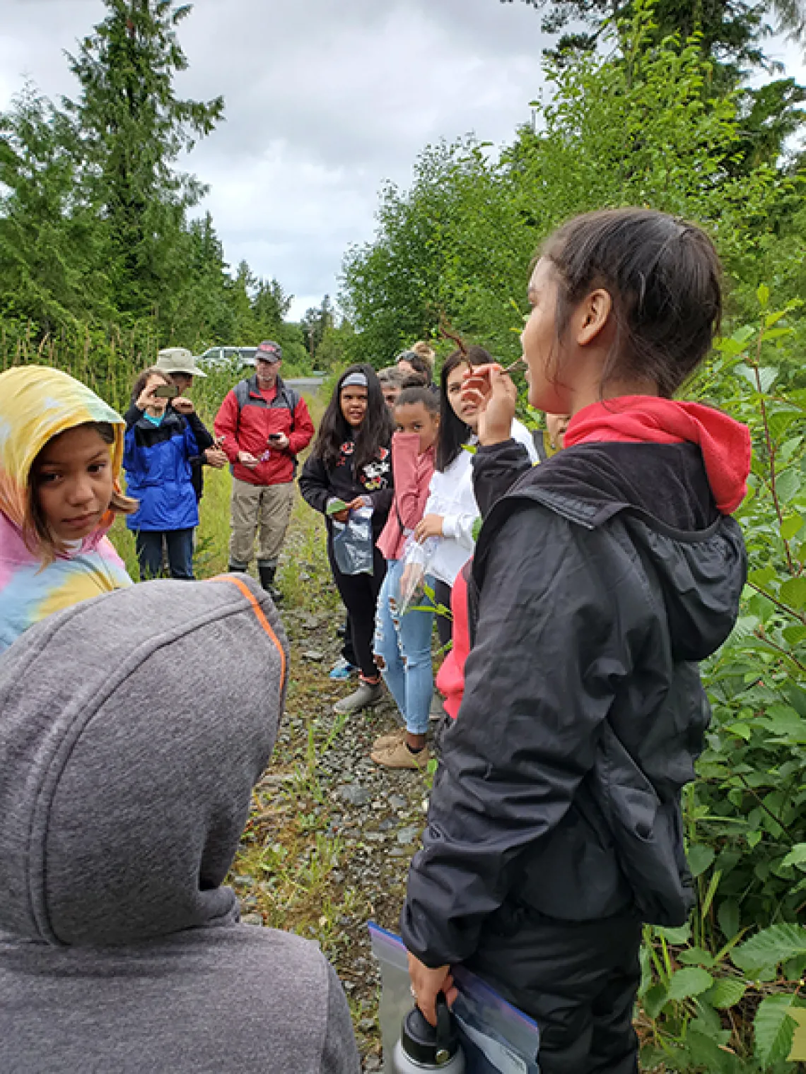 A group of students in the forest on a light rainy day.