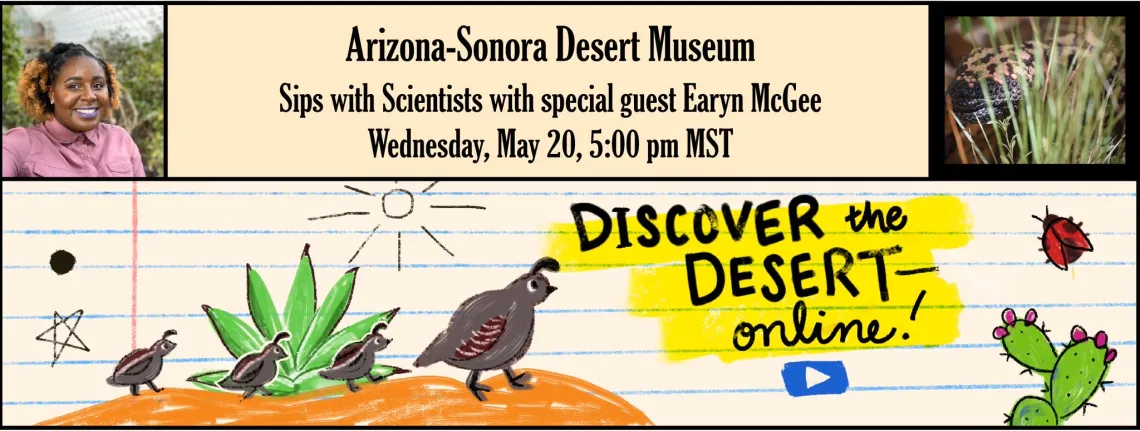 Flyer for Sips with Scientists reads: Arizona-Sonora Desert Museum - Sips with Scientists with special guest Earyn McGee - Wednesday, May 20, 5:00 pm MST.