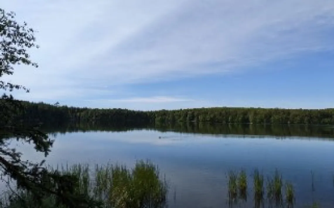 Corey Ziemann, Chequamegon-Nicolet National Forest