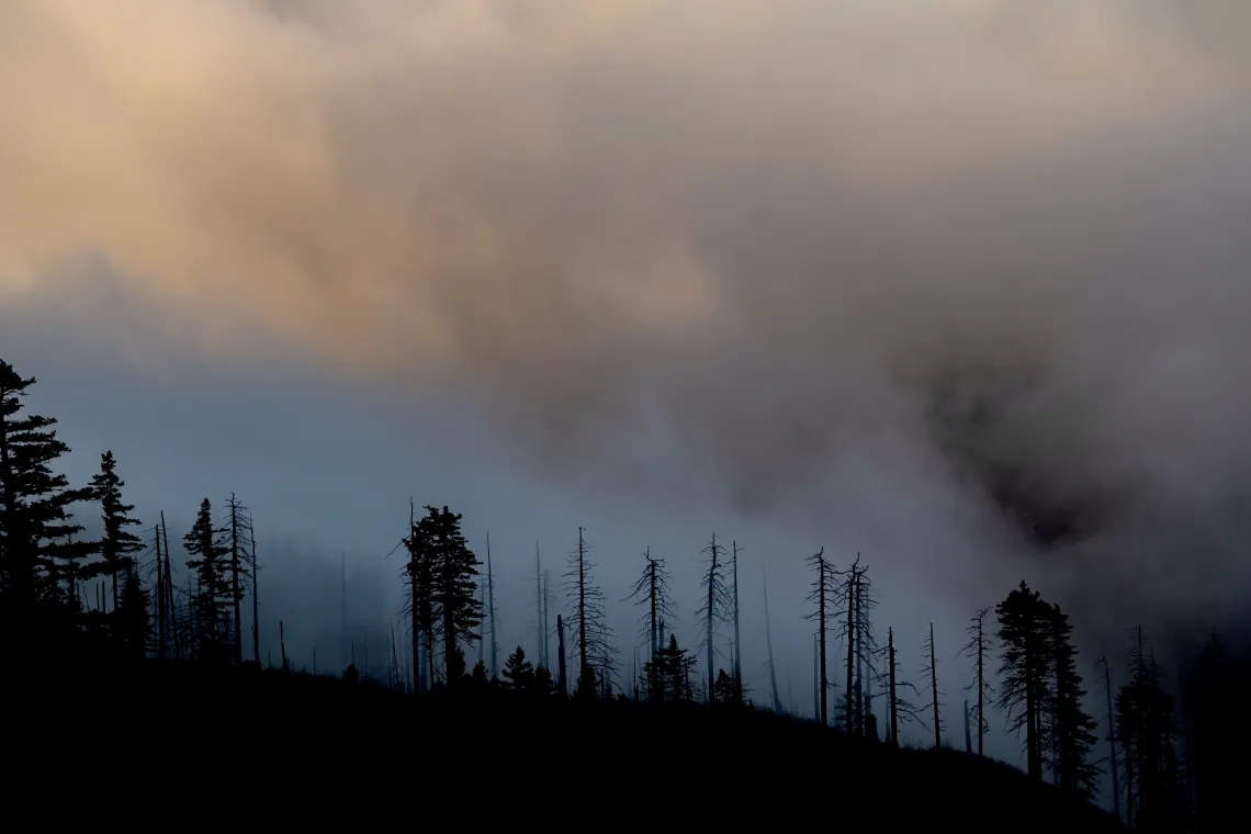 California Wildfire