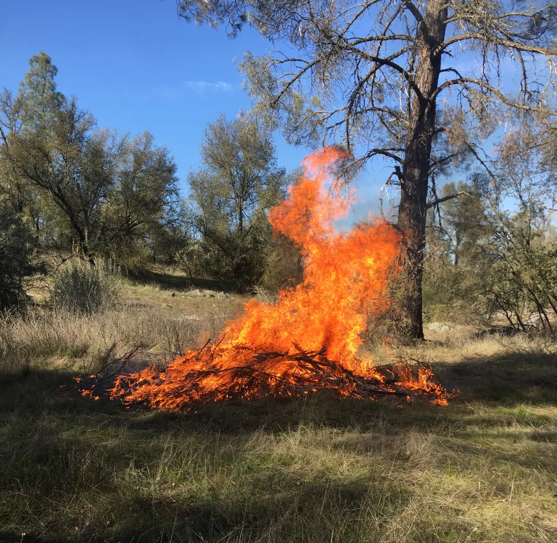 Cultural burning of wood and materials in forest environment