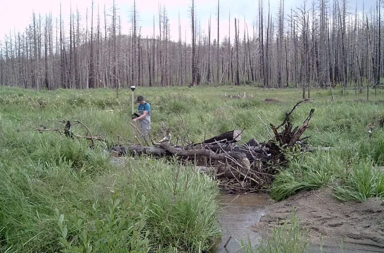 Nicholas in a feild of green plants and flowing water. The trees behind were burned in a wildfire. 