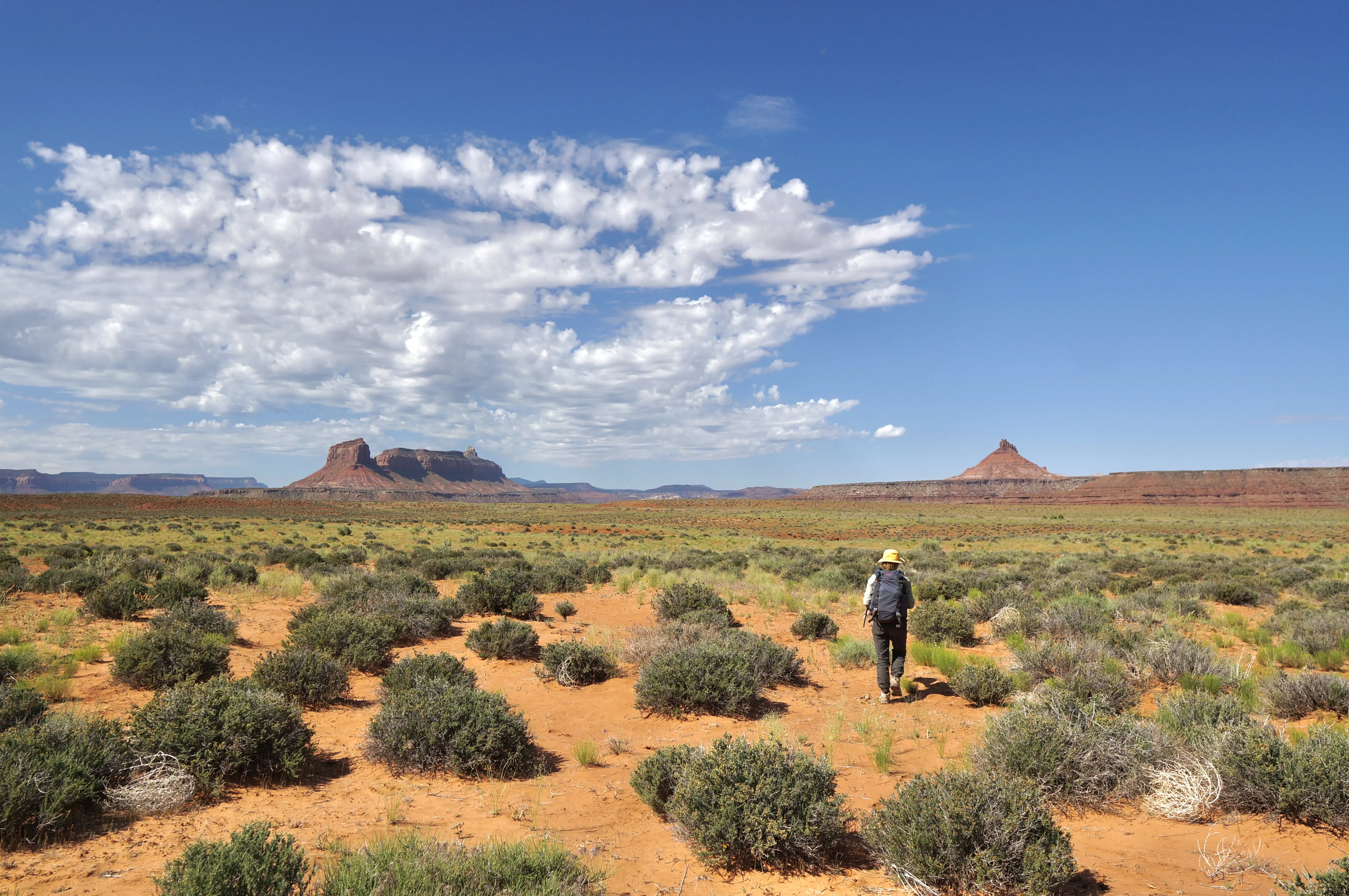 A lone hiker wearing a yellow hat and carrying a backpack walks through a vast, arid landscape dotted with low shrubs and dry grass. The scene features a wide expanse of red and orange desert terrain under a bright blue sky with scattered white clouds. In the distance, distinctive rock formations and mesas rise against the horizon