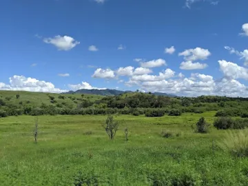 Picture of a field with a mostly clear blue sky and green foliage.